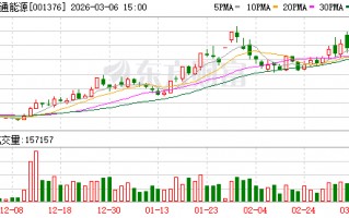 百通能源：公司及子公司无逾期对外担保