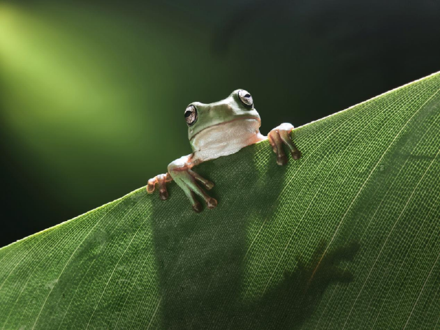 OPPO Find N6全球发布:破解折叠屏8年折痕难题 售价9999元起